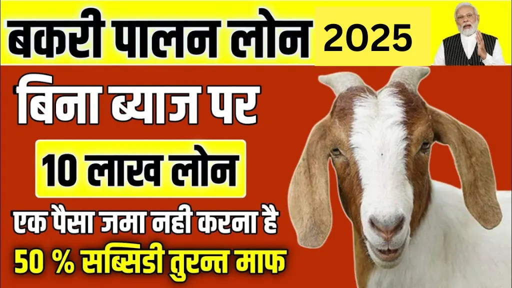 बकरी पालन के लिए 2025 में मिलेगा 3 लाख से 10 लाख तक का लोन!